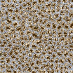 Grey Blue n' Gold Glitter Leopard (vinyl)