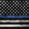 Grunge Blue Line (FLAG) Extra Stars (vinyl)