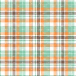 Guy Plaids (vinyl) - Image 4