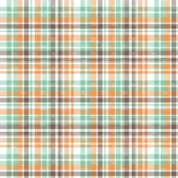 Guy Plaids (vinyl) - Image 7
