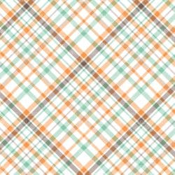 Guy Plaids (vinyl) - Image 8
