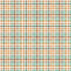 Guy Plaids (vinyl) - Image 10