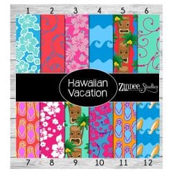 Hawaiian Vacation (vinyl)