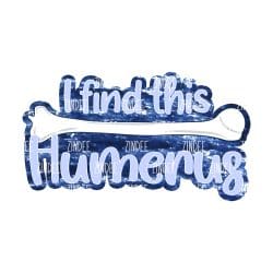 Humerus (download)
