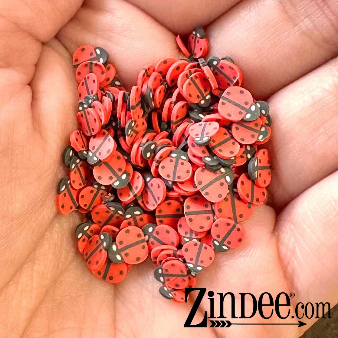 Alternative view of Ladybugs Polymer Clay