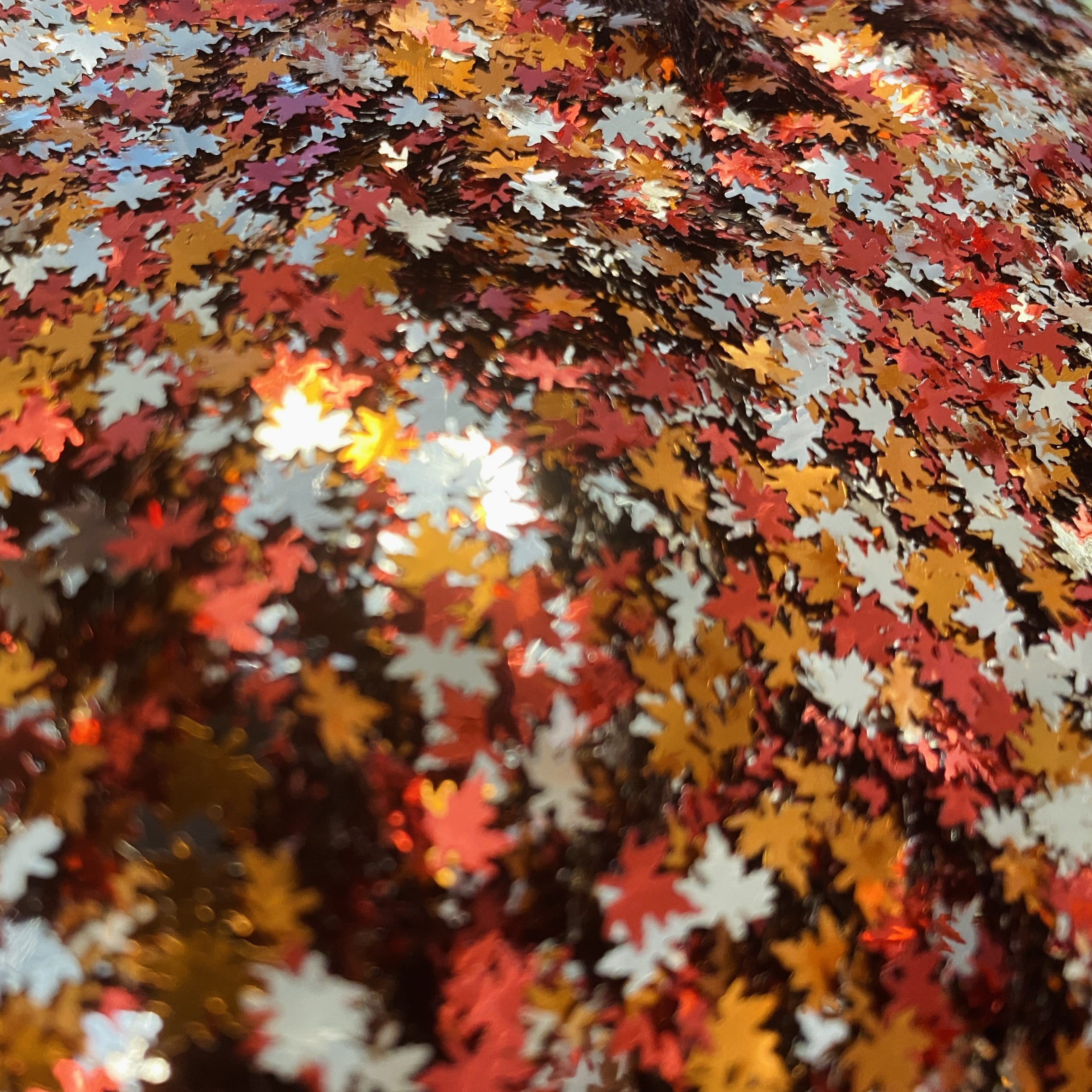 Alternative view of Fall Leaves Glitter (BAG)