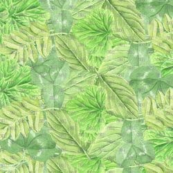 Leaves (vinyl)