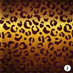 Leopard (vinyl) - Image 3