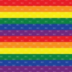 LGBTQ Rainbow seamless (vinyl)
