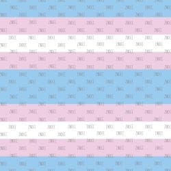 LGBTQ Transgender seamless (vinyl)