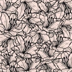 Lily Pink and Black (vinyl)