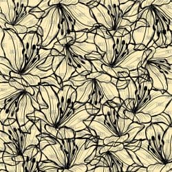 Lily Yellow and Black (vinyl)