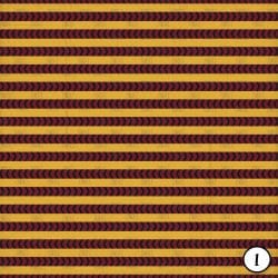 Alternative view of Maroon and Gold (vinyl)