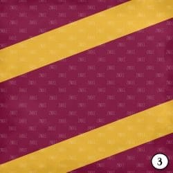 Maroon and Gold (vinyl) - Image 4
