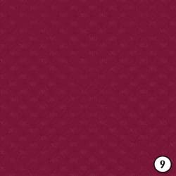 Maroon and Gold (vinyl) - Image 10