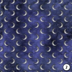 Midnight Witch (vinyl) - Image 3