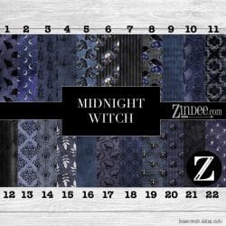 Midnight Witch (vinyl)