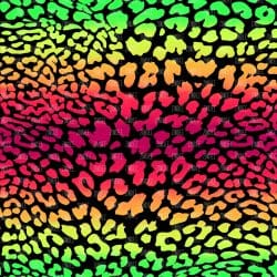 Neon Leopard Black vinyl)