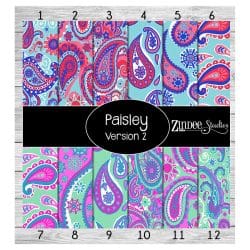 Paisley Print Version 2 (vinyl)