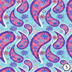 Paisley Print Version 2 (vinyl) - Image 6