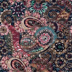 Paisley zs 221 (vinyl)