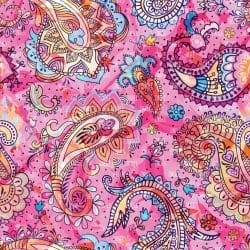 Paisley zs 223 (vinyl)