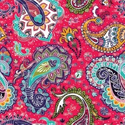 Paisley zs 225 (vinyl)