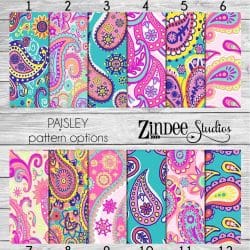 Paisley Print (vinyl)