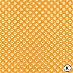 Paw Print (vinyl) - Image 11