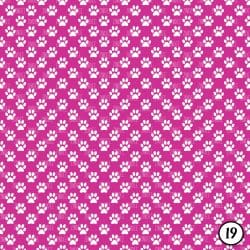 Paw Print (vinyl) - Image 20