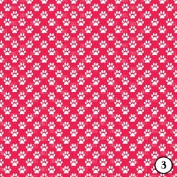 Paw Print (vinyl) - Image 4