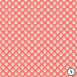 Paw Print (vinyl) - Image 6