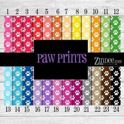 Paw Print (vinyl)