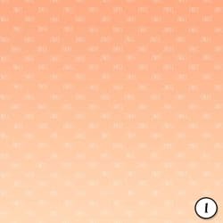 Peach and Silver (vinyl) - Image 2