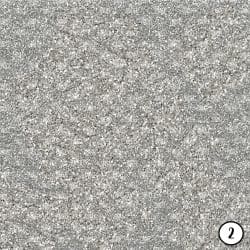 Peach and Silver (vinyl) - Image 3