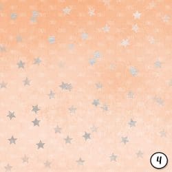 Peach and Silver (vinyl) - Image 5