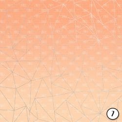Peach and Silver (vinyl) - Image 8