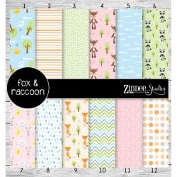 Fox and Raccoon (vinyl)