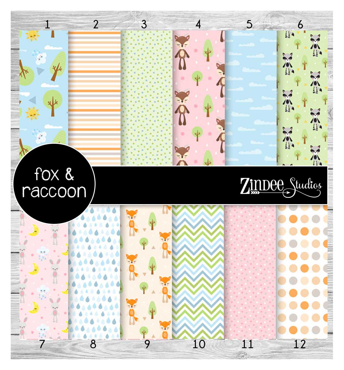 Fox and Raccoon (vinyl)