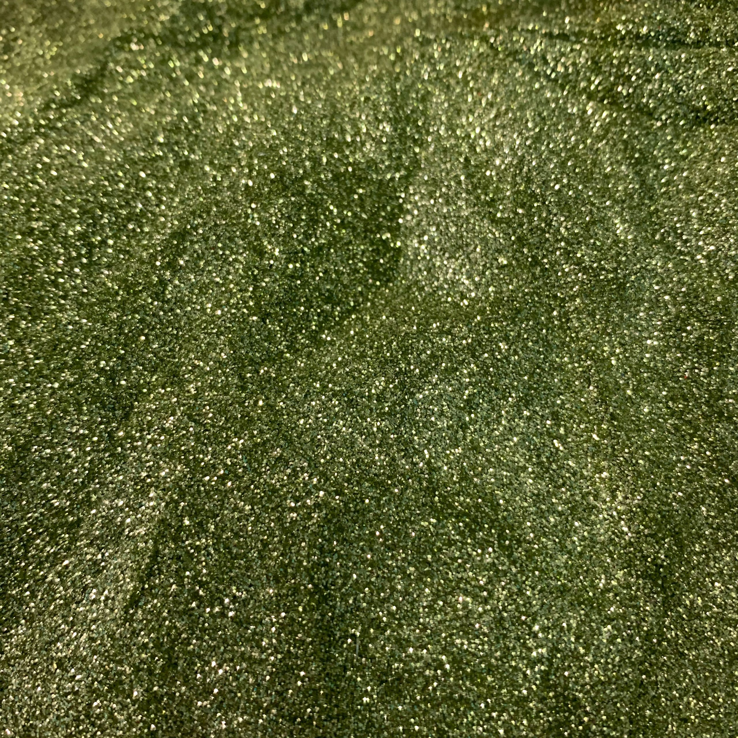 Pickle This Ultrafine Polyester Glitter (BAG) - Image 3