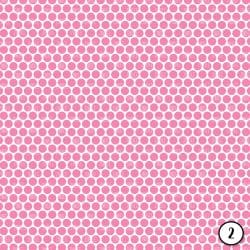 Pink Lime Blue Grey (vinyl) - Image 3