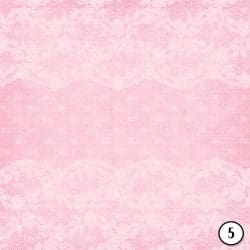 Pink Linen and Lace (vinyl) - Image 6