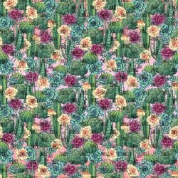 Pink Ombre Cactus seamless (digital paper)