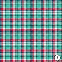 Plaid Prints (vinyl) - Image 3