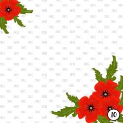 Poppy Spring (vinyl) - Image 11