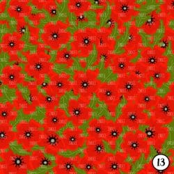 Poppy Spring (vinyl) - Image 14