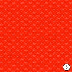 Poppy Spring (vinyl) - Image 6