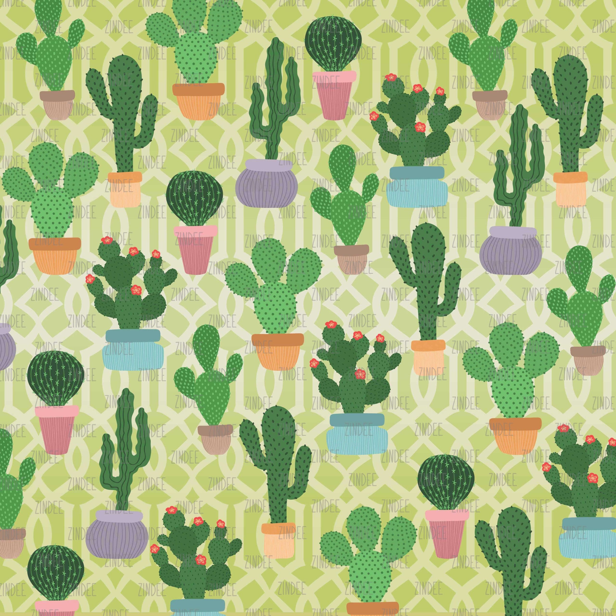 Prickly Cactus (vinyl)