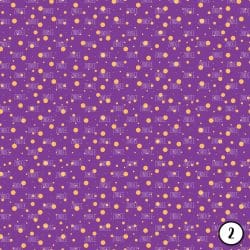 Purple and Gold (vinyl) - Image 3