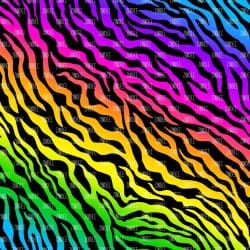 Rainbow Zebra (digital paper)